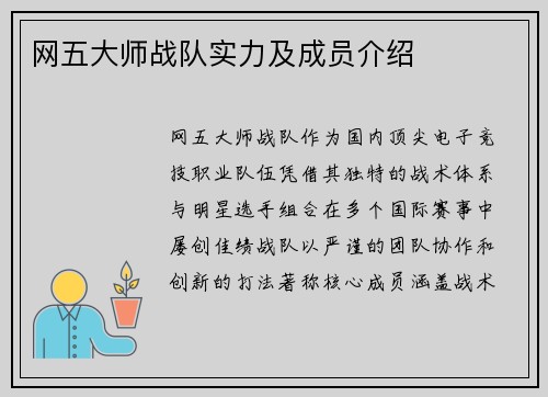 网五大师战队实力及成员介绍